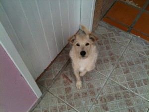Todos os dias pela manhã ele me espera pra abrir o escritório.