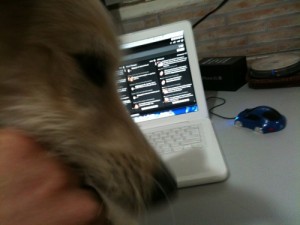 Dando uma força (incomodando) no suporte.